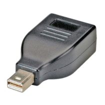 ROLINE adapter DisplayPort - mini DisplayPort F/M