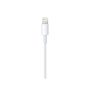 APPLE Lightning to USB cable (1 m)